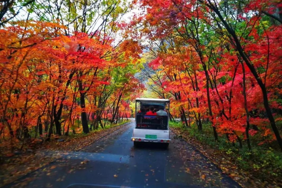 Pushihe Forest Park